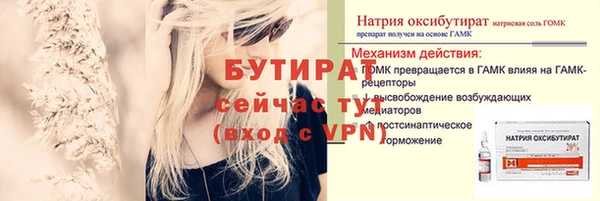 ПСИЛОЦИБИНОВЫЕ ГРИБЫ Новозыбков