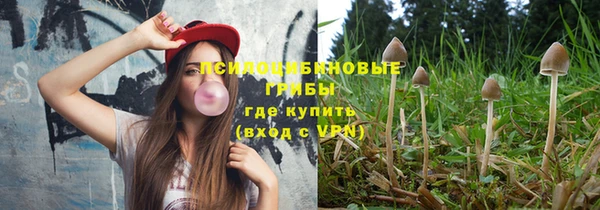 ПСИЛОЦИБИНОВЫЕ ГРИБЫ Новозыбков