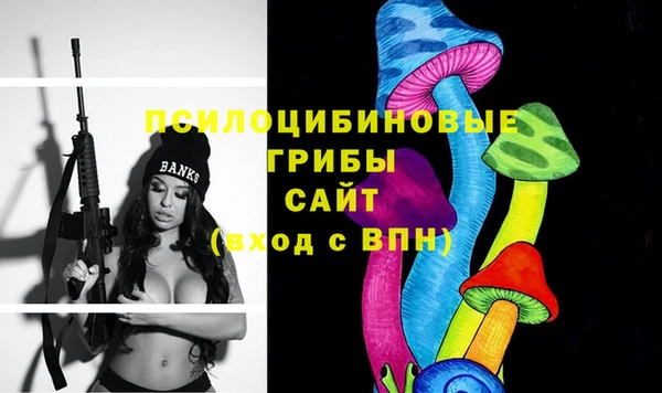 прущие крисы Армянск