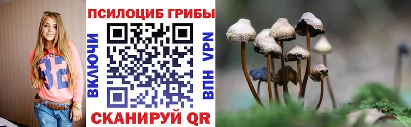 Псилоцибиновые грибы Magic Shrooms  OMG рабочий сайт  Обнинск 
